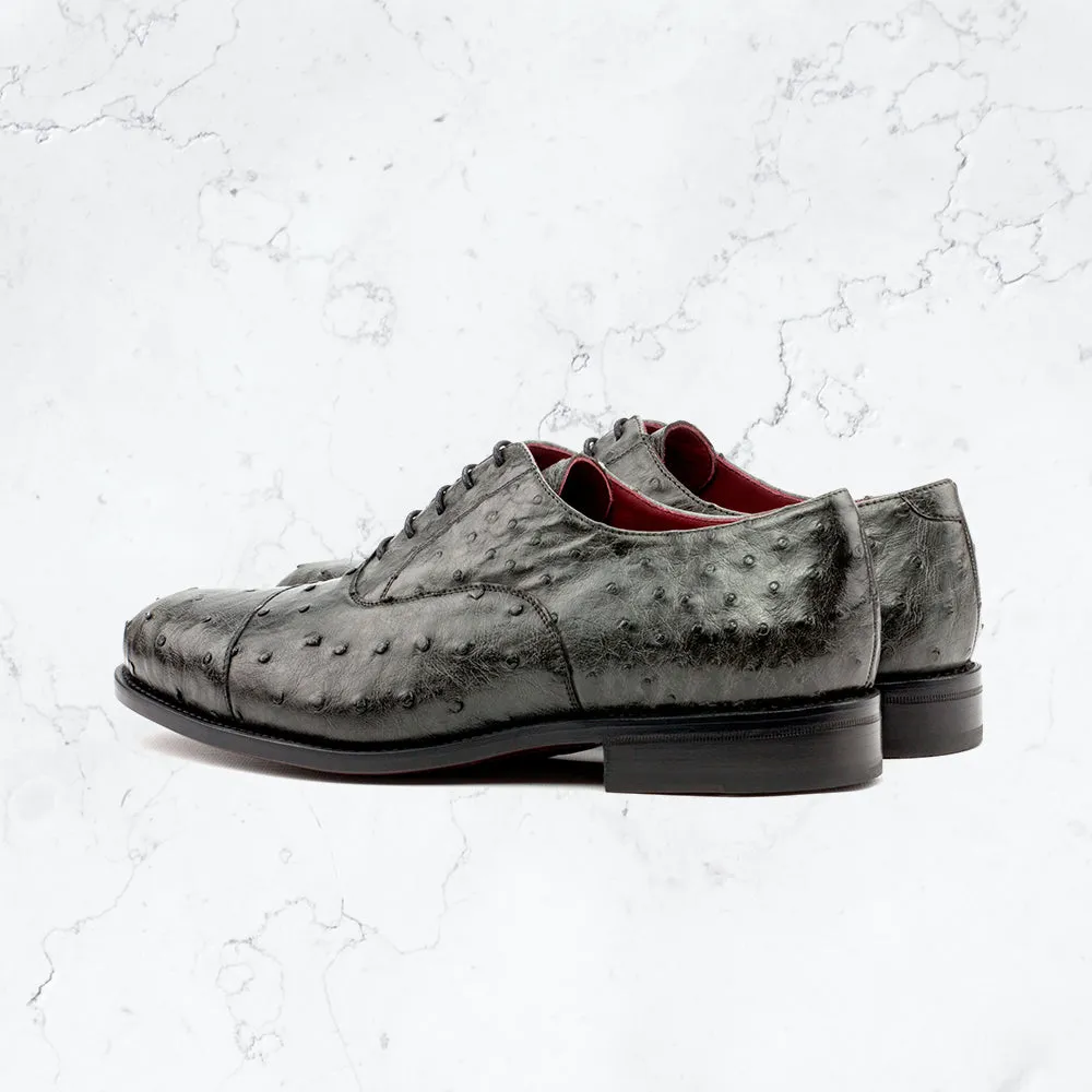Genuine Ostrich Oxford -  Dress IV