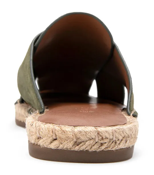Halley Olive
