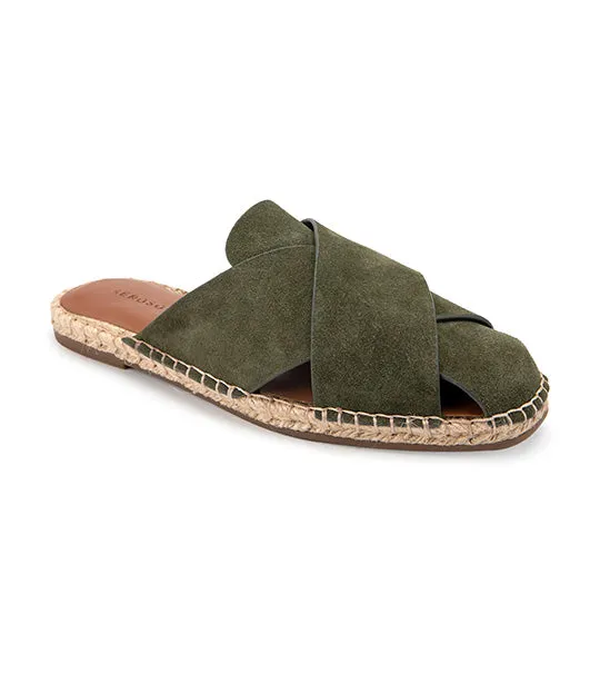 Halley Olive
