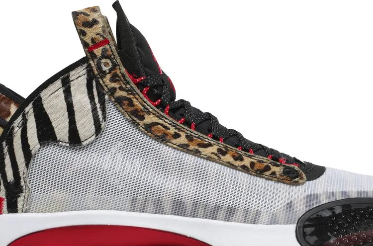 Jayson Tatum x Air Jordan 34 Welcome To The Zoo Multicolor