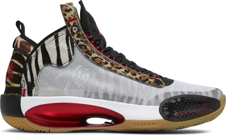 Jayson Tatum x Air Jordan 34 Welcome To The Zoo Multicolor