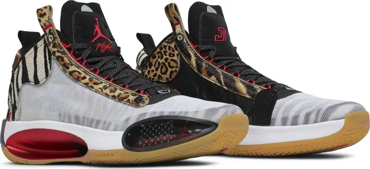 Jayson Tatum x Air Jordan 34 Welcome To The Zoo Multicolor