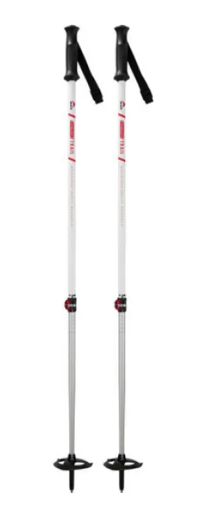 MSR - DynaLock Trail Backcountry Poles
