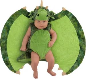 Princess Paradise Swaddle Wings Darling Dragon Infant Costume