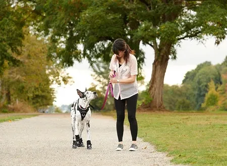 Strider Dog Booties