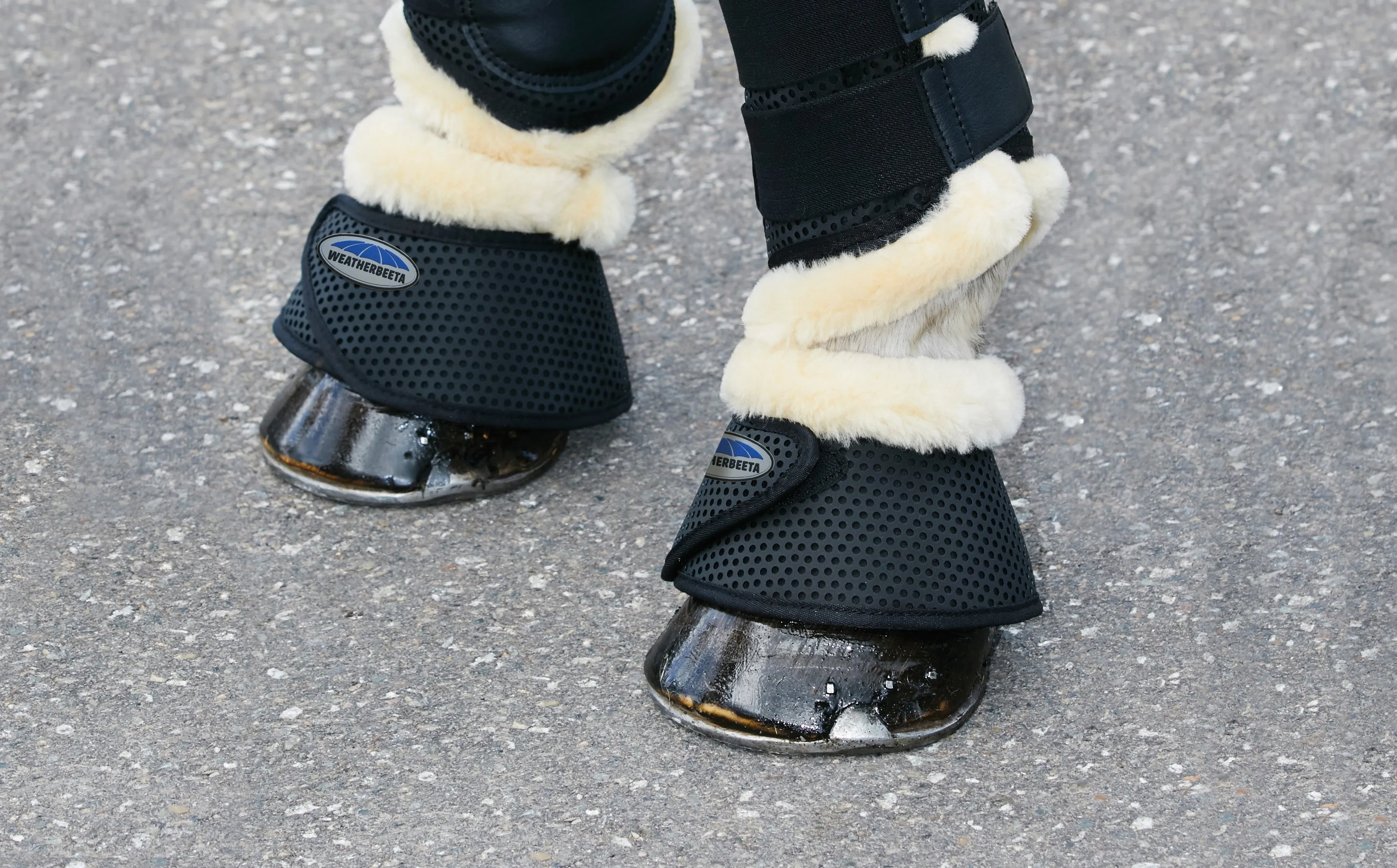 Weatherbeeta Wool Trim Bell Boots
